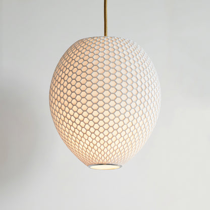 Small White Hive Pendant Light